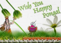 Happy Pongal 2016